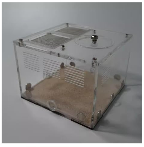 ZWQXZX Ameisennest Ameisenfarm Ameisenhaus Acryl Ameisenburg DIY Nest Beton Ameisennest Bauernhof Haus Werkstatt Ameisen Vivarium Bildung Lernen Ameisen Terrarium Ameisen Zucht Box