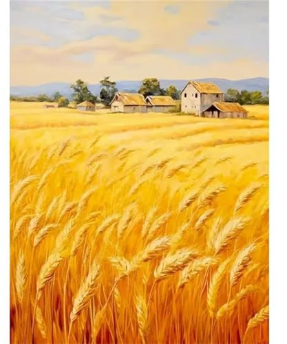 Aimaor Gelbes Weizenfeld Malen Nach Zahlen Erwachsene Ohne Rahmen DIY Handgemalt Ölgemälde Leinwand Malen Nach Zahlen Kits mit Pinseln und Acrylfarben Kunsthandwerk für Zuhause Dekor - 40x50cm