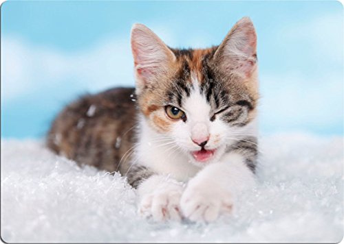 Nanyuk +++ Katze - SCHNEIDEBRETT Dekoteller Glasbrett Dekoglas - CAT 05