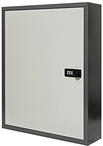 Schlüsselschrank Schlüsselschrank Modern Home Key Aufbewahrungsbox Mit Haken, Auto Shop Schlüsselverwaltungsbox, Schlüsselorganizer Mit Zahlenschloss, Wandmontage (Color : Gray Color, S : 50 Key)