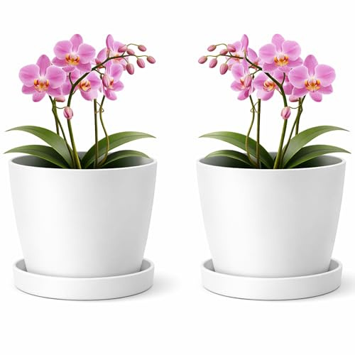 PECZEKO Blomkruka matt, växtkärl av överkrukplast Dekorativ kruka för, stora och små växter, 2-pack blomkrukor med underlägg, blomkrukor örtkrukor, snövit, Ø 18 cm
