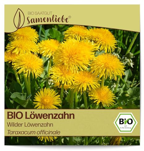 Samenliebe BIO Löwenzahn Samen Wilder Löwenzahn würzige Wildkräuter Salatkraut gelb 800 Samen samenfestes Kräuter Saatgut für Küche indoor und Balkon Garten BIO Kräutersamen mehrjährig und winterhart