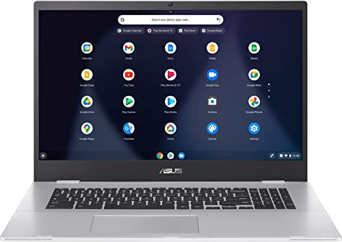 ASUS - Chromebook de 43.9 cm - Intel Celeron N4500-Memoria de 4 GB - 32 GB eMMC - Plata transparente