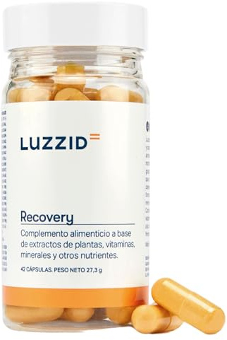 Luzzid Recovery | Complement Vitamine Mineraux | Clovinol + TurmerSOL + Vitamine B12, B6, B3 + Gingembre + Bisglycinate de Magnésium + Coenzyme Q10 | Complément Alimentaire Ingrédients 100% Naturels