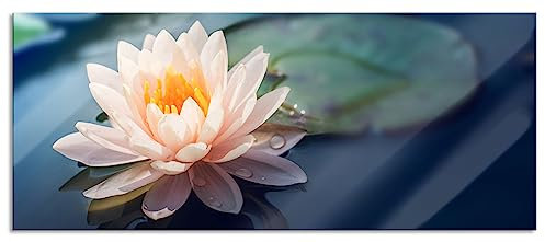 Pixxprint Glasbild Panorama, Wandbild aus Echtglas, Eine rosa Lotusblume in Teich, 100x40 cm, inkl. Aufhängung und Abstandshalter