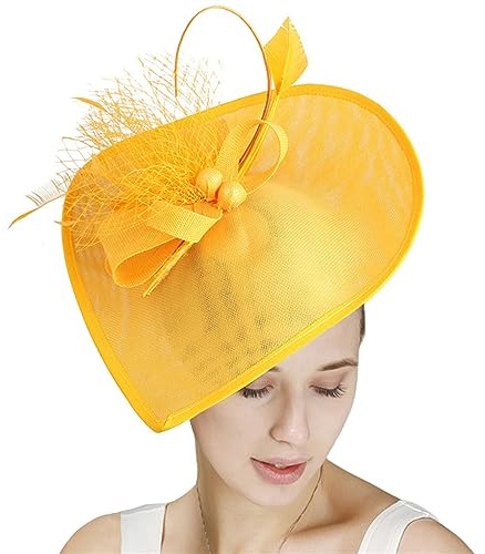 GIBZ Damen Fascinator Hut mit Breiter Krempe Elegant Tea Party Stirnband Pillbox Hüte mit Federn Hochzeits Kopfschmuck