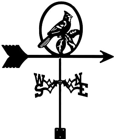 lkpqdwqz Girouette en Acier Inoxydable girouette Oiseau indicateur de Direction du Vent Durable rétro girouette scène de Ferme Jardin Piquet Outils de Mesure