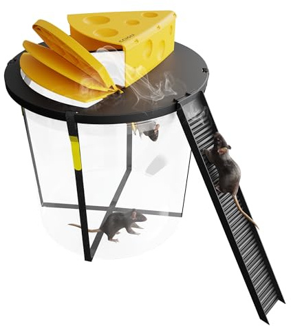 CCIGU ökologische Lebendfalle Ratte [HOCHWIRKSAME FANGWIRKUNG] I mühelose Kontrolle & Abtransport I 100% Sicher für Menschen & Haustiere I Mausefalle waschbar
