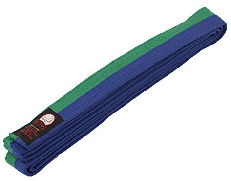 Ruilogod Nylon Kampfsport Karate Sportausrüstung Taekwondo Gürtel 2.7M Grün
