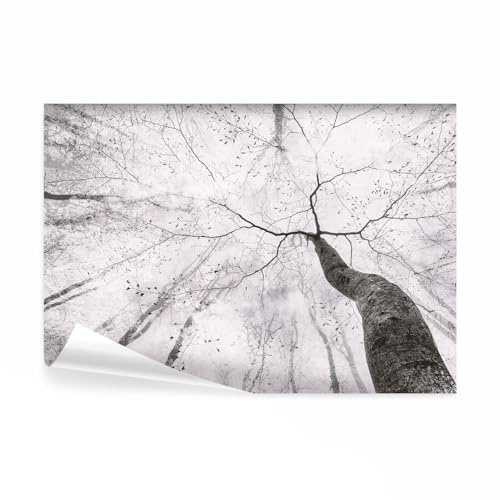 decomonkey Papier Peint Panoramique Nature 350x256 cm Décoration murale | Tapisserie décorative pour chambre salon, Art mural unique design tendance, moderne