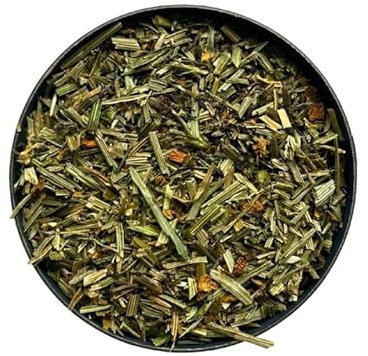 Tisane Escholtzia (Pavot de Californie) plante.