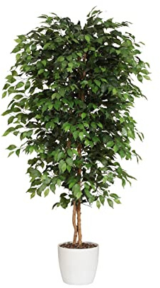 Kunstbaum Ficus Benjamini XL 230cm hoch mit Naturstamm & 2268 Blätter - Große künstliche Birkenfeige Benjamina im Topf
