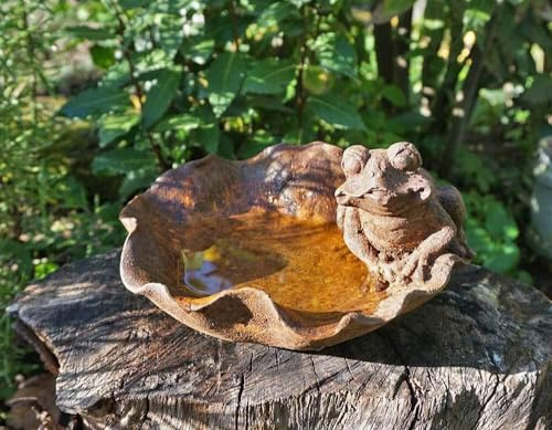 zeitzone Vogeltränke Frosch auf Seerose Vogelbad Eisen Edelrost Vintage-Stil Gartendeko