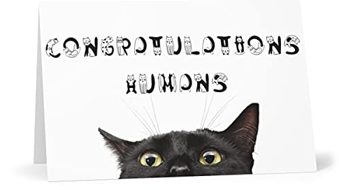 Glückwunschkarte Congratulations Humans – Lustige Hochzeits- oder Einzugskarte mit schwarzer Katze – von der Katze