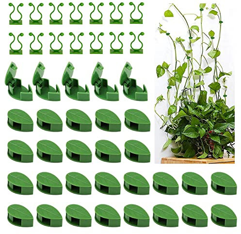 Lovesmile Pflanzenclips für Kletterpflanzen, 50 Stück Pflanzenclips Wand, Grün kletterpflanzen Befestigung mit 50 Stück Pflanzenclips, Plant Clips Geeignet für Garten Balkonpflanzenstütze