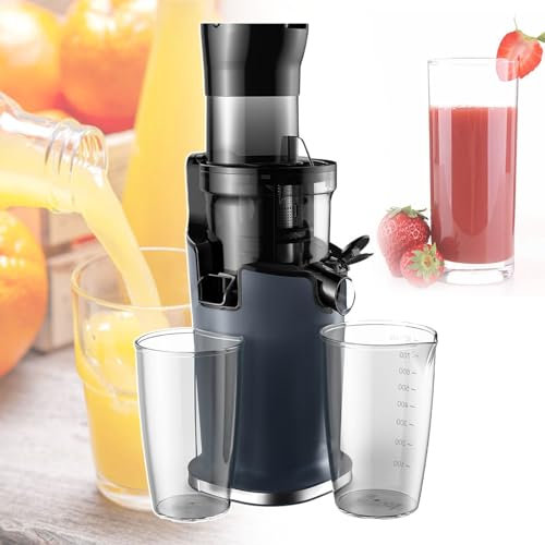 pealiritansemen Extracteur De Jus À Mastication Lente De 200 W, Sépare Automatiquement Le Jus Et Les Résidus, Presse-Agrumes À Fruits 40-65 TR/Min, avec Tasse À Jus Et Tasse À Marc