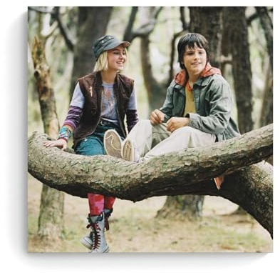 HDSHJFIK Poster mural décoratif sur toile du film d'aventure de Jess Leslie Bridge to Terabithia - 30 x 30 cm