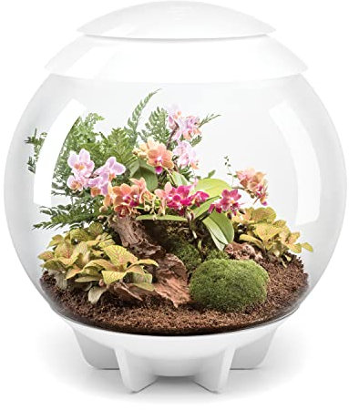 biOrb 46147 biOrb AIR 60 weiß - automatisiertes Terrarium zur bequemen Pflege exotischer Pflanzen, LED-Beleuchtung, 60 l Fassungsvermögen
