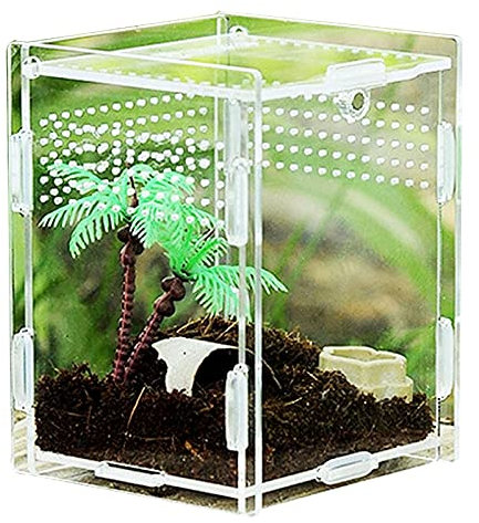 Transparent Acryl Reptilienzuchtbox Zuchtbox Insekten Mini Terrarium Transportbox Transparent Acryl Terrarium Behälter Transparent Reptil Zuchtfall, für Spinnenechsen, Skorpion