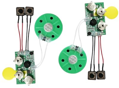 2 Stück Sound Chip Modul, DIY Grußkarten Chip Besprechbare Karte, Voice Module für DIY Grußkarte Kreative Geschenke Modelle Bastelarbeiten (2 Minuten)