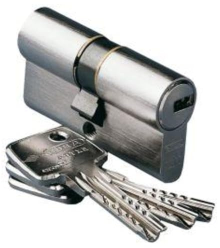 ABUS EC550NP Profilzylinder EC550 NP, Lg 30/30mmm.3 Schlüssel, mit N+G, Wendeschlüssel, 30/30 grau