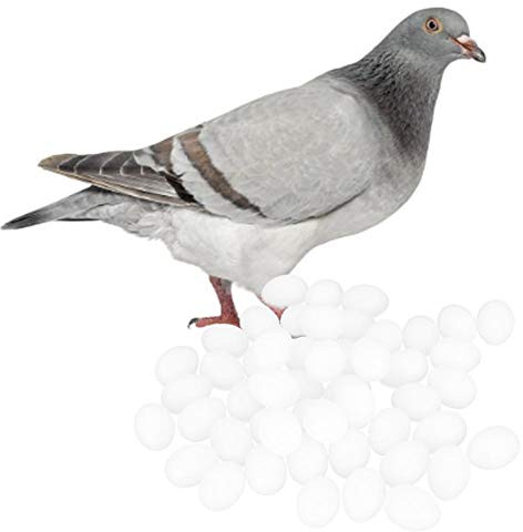 Brutinduzierte Taubeneier, gefälschte 50PCS-Plastiktaubeneier für die Inkubationszucht(Full Core Fake Eggs)