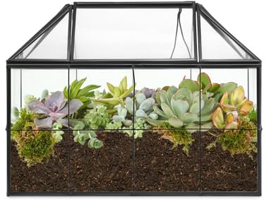 QWORK® Geometrisches Terrarienglas, Pflanzen Terrarium, für Kakteen, Sukkulenten, Schwarz, 22 x 13.5 x 18.5 cm, Ohne Pflanzen