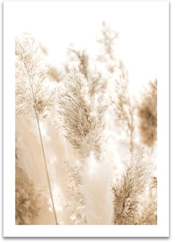 ARTFAVES® Poster - Pampasgras 2 | Wanddeko Wandbild Fotografie Modern | ohne Rahmen | 30 x 40 cm