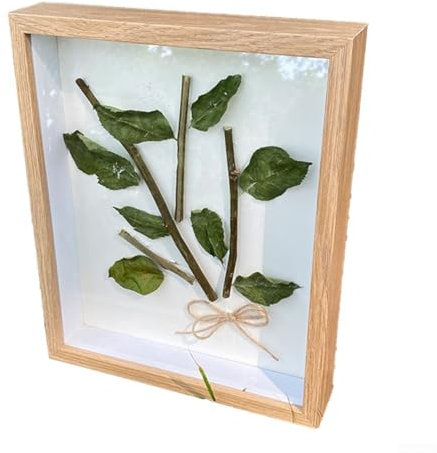 MeevrgR 3D Shadow Box Frame, Wood-Based Panels, 26x22x6cm, White/Black/Wood/Walnut, Protective Glass, Deep Display, Easy Assembly(wood)
