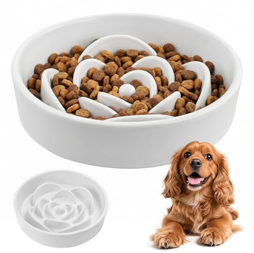 Ecofocet Comedero Perro Antivoracidad de cerámica, 800ML Gato Alimentación Lenta, 20CM Plato Interactivo, Cuenco Lento para Mascotas Medianas y Grandes