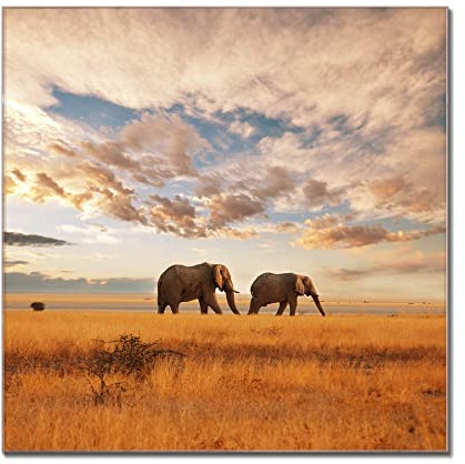 banjado Glas Magnettafel (45 x 30cm) - Magnetwand Glas - Magnetpinnwand als Memoboard - Pinnwand Magnettafel Küche, Büro, Kinderzimmer - Elefanten