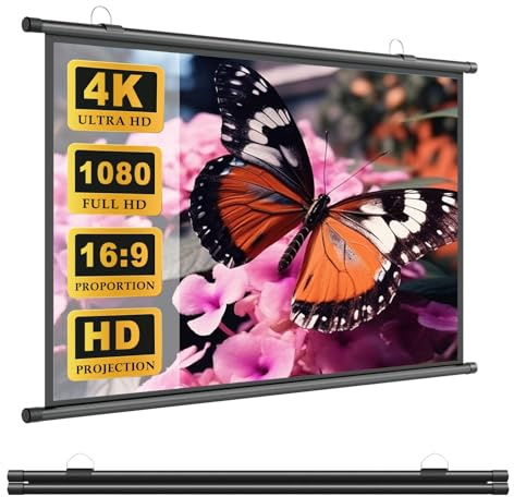 Écran De Projection Manuel Enroulable, 30 40 50 60 72 Toile De Projecteur 4K HD Écran De Cinéma, AntiPlis, Pour Bureau, Conférence, Fête, Maison, École, Présentation(30)