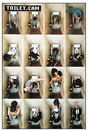 Toilet.Cam Poster, 61 x 91,5 cm