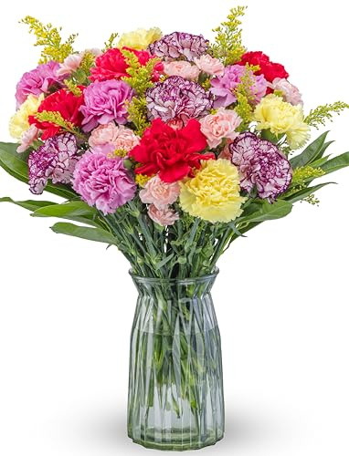 Benchmark Bouquets Carnation Flower Mix – Mothers Day Flowers for Delivery – Fresh Cut Floral Arrangement – Pink White Purple Carnations – Gifts for Mom & Birthdays – Glass Vase Included (26 Stems)