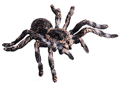 FLORMOON Figuras realistas de animales, modelo de acción de araña, figuras de juguete realistas de insectos, juguetes educativos de aprendizaje, juego de cumpleaños para niños, niñas y niños pequeños