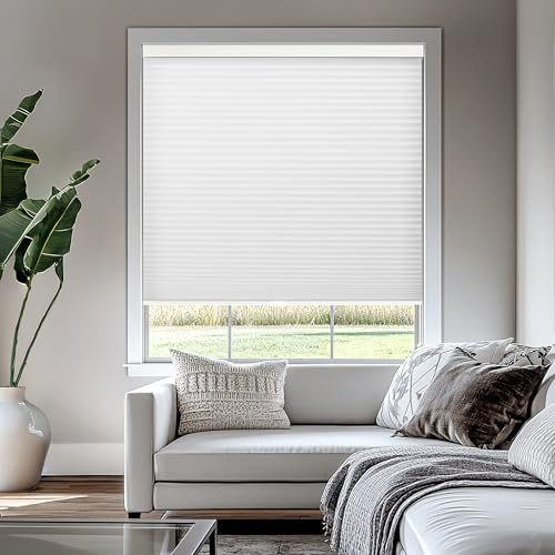CHICOLOGY Cellular Shade, Cordless, Honeycomb Blinds, Morning Mist, 54W x 64H, Blackout, Plastic & Polyester