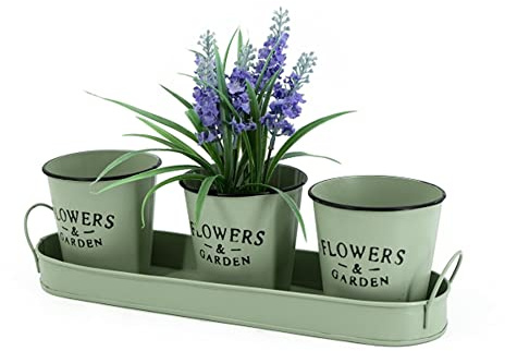 MACOSA HOME NO55928 Pflanzgefäße 4tlg. Kräutertopf Zink Grün Vintage-Stil Blumentopf rund Pflanztablett Kräutergarten Pflanztopf Kräutertopf Blumengefäße auf Tablett, 35 x 10 x 10 cm