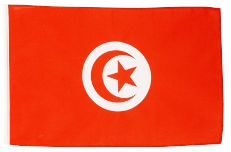 Digni® Drapeau Tunisie 30 x 45 cm