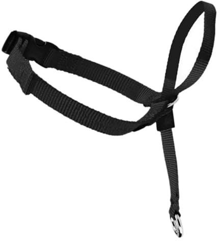 KANGYEBAIHUODIAN Passar for mild ledarsele Hundgrimma Träningshuvudhalsband Nylon Breakaway All Seasons Användbara selar Bly (Color : Black, Size : S)
