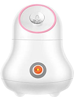 Calda Mist Lady Steamer Facciale Nano Ionic Face Face Steamer Facial Steamer per Home Mist Steh Stehrer Spray Spa Umidificatore Pore Open Sauna Spa Strumento fumante
