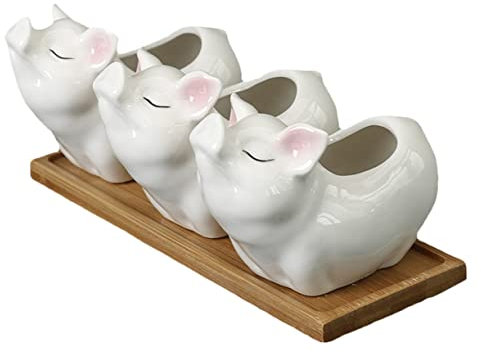 Happyyami 1 Juego Maceta de Cerdo de cerámica macetas de Interior macetas suculentas Pararse Maceta de Barro suculento rugerizado Home Decor Maceta de Bonsai macetero con Forma de Cerdito
