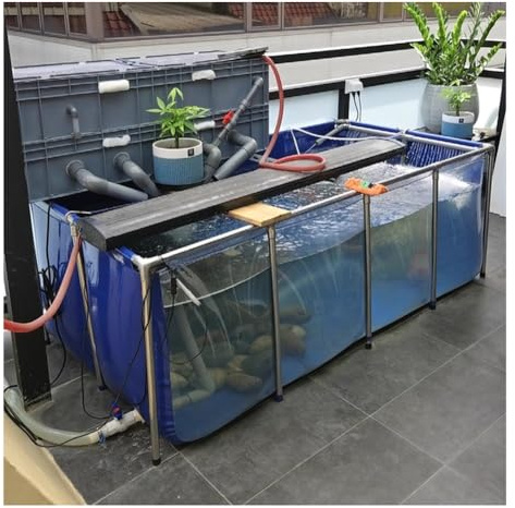 Freistehendes Fischteich-Aquarium für den Innenbereich – strapazierfähige PVC-Leinwand mit Stahlrahmen, klares Sichtfenster, ideales Zuchtbecken für Koi und Goldfische (100 x 60 x 51 cm)
