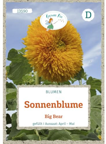 Grüne Fee - Sonnenblume Big Bear Samen - 13590