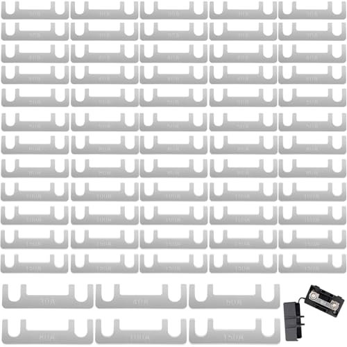 CiShow 60 Pcs Strip Fuses, 30A, 40A, 50A, 80A, 100A, 150A Flat Fuse Strip, Car Fuse for Caravan Motorhome