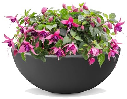 Sustania Mini stagno – Vaso per piante 1 pezzo, diametro 40 cm, altezza 16 cm, ciotola decorativa con fucsia, accattivante per casa e giardino