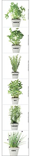 Plage Plantas Aromáticas Decoración Adhesiva para Azulejos, Vinilo, Verde, 15x15 cm, 6 Unidades