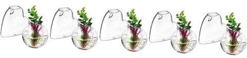 Cabilock 5 Sätze Glasvase Wandpflanzenhalter Fischglas An Der Wand Terrarienständer Hängendes Terrarium Pflanzen Terrarium Ausbreitungsstationen Glas Mit Hohem Borosilikatgehalt 2 Stück * 5