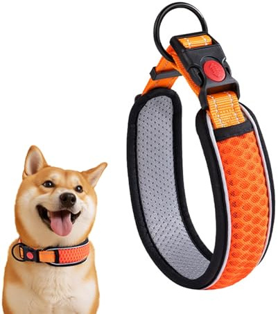 Hundehalsband, Weich Gepolstertes Neopren Nylon Hunde Halsband mit Reflektierendes, Verstellbar Halsband für Welpe, Kleine, Mittelgroße (Orange Farbe)