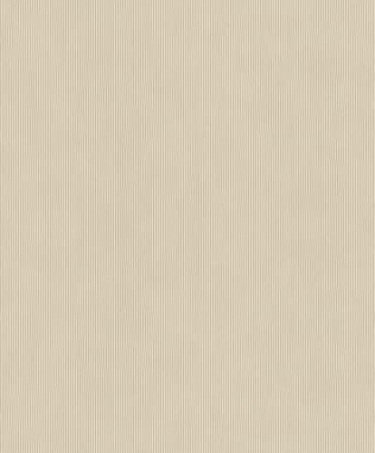 Rasch tapeter fibertapet (universell) beige 10,05 m x 0,53 m konsert 521450