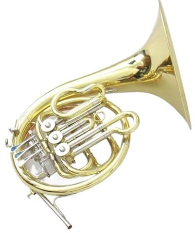 waldhorn instrument 3-Tasten-Waldhorninstrument Goldlackiertes Waldhorn Messingkorpus